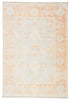 Patrin Oriental Orange & Light Gray Area Rug