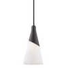 Parker Pendant