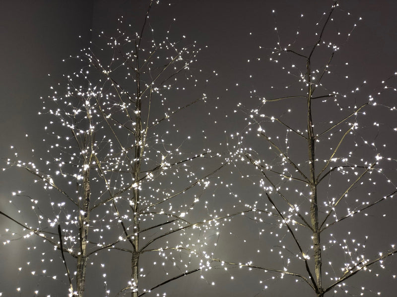 Silver Tree Trio