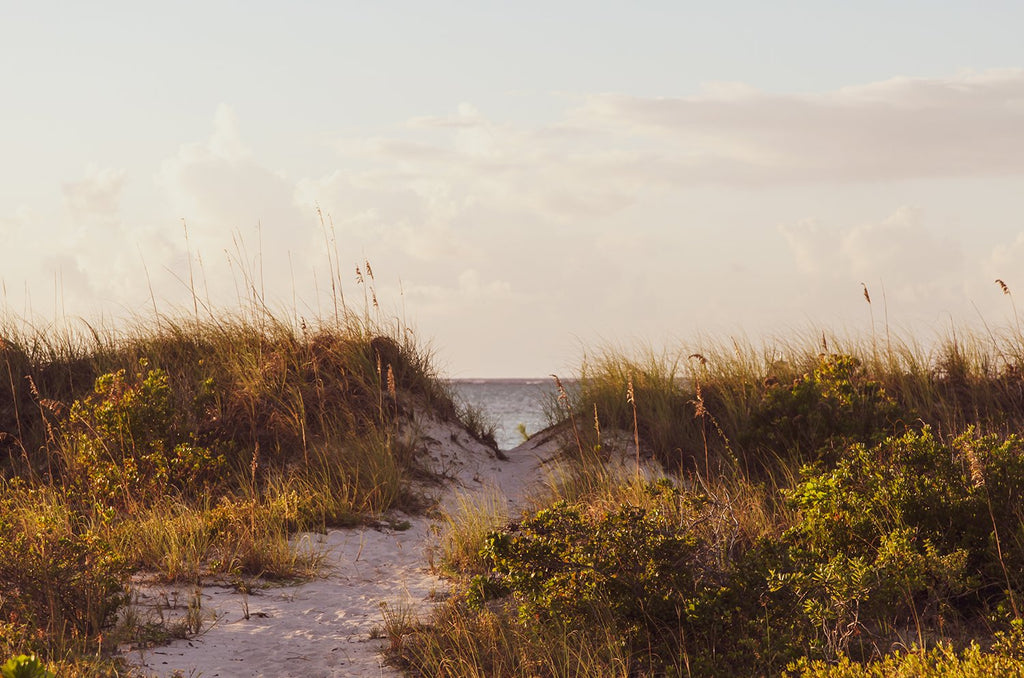 Caicos Photo Print