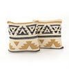 Aster Pillow Set of 2