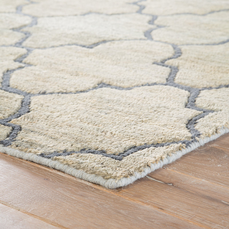 Ithaca Natural Blue & Tan Rug 2