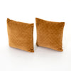 Bly Velvet Pillow Set of 2