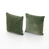 Bly Velvet Pillow, Set of 2