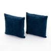 Bly Velvet Pillow, Set of 2