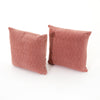 Bly Velvet Pillow, Set of 2