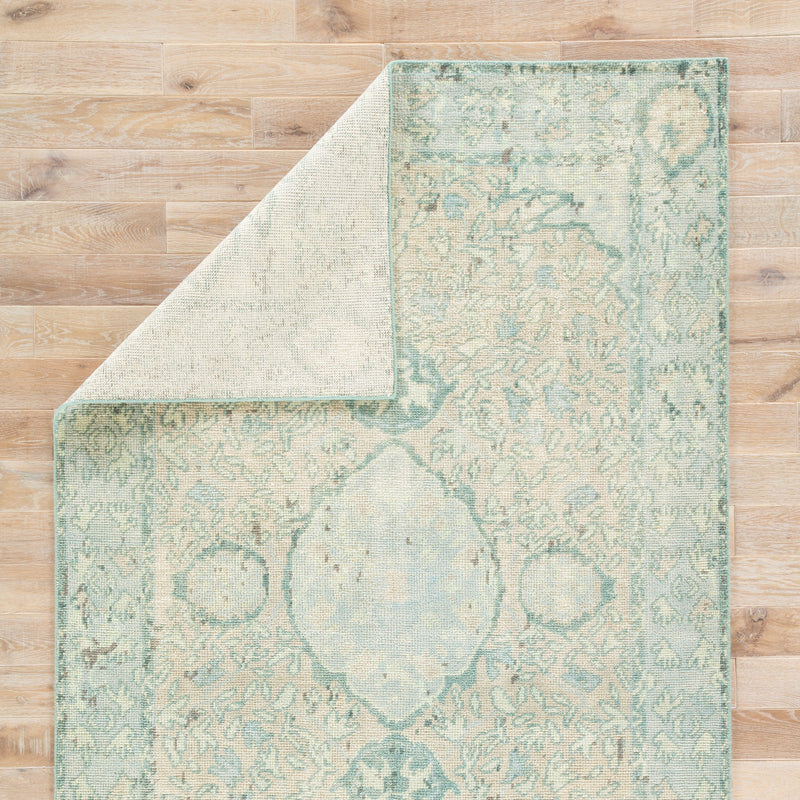 Alessia Border Rug in Pelican & Aquatic design by Jaipur Living