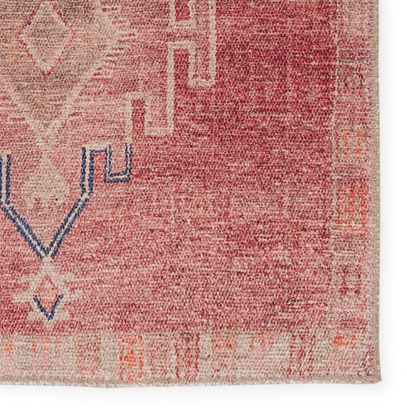 Evadne Medallion Pink & Blue Rug by Jaipur Living