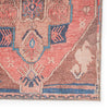 Lani Medallion Pink & Blue Rug by Jaipur Living