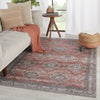 Novah Oriental Red & Gray Area Rug