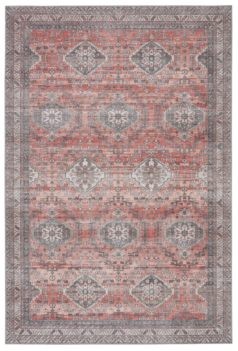 Novah Oriental Red & Gray Area Rug