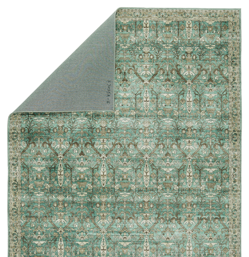 Keyara Razi Green & Tan Rug by Nikki Chu 3