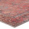 Galina Oriental Rug in Red & Blue by Jaipur Living