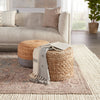 Parisa Medallion Rug in Light Blue & Light Tan by Jaipur Living