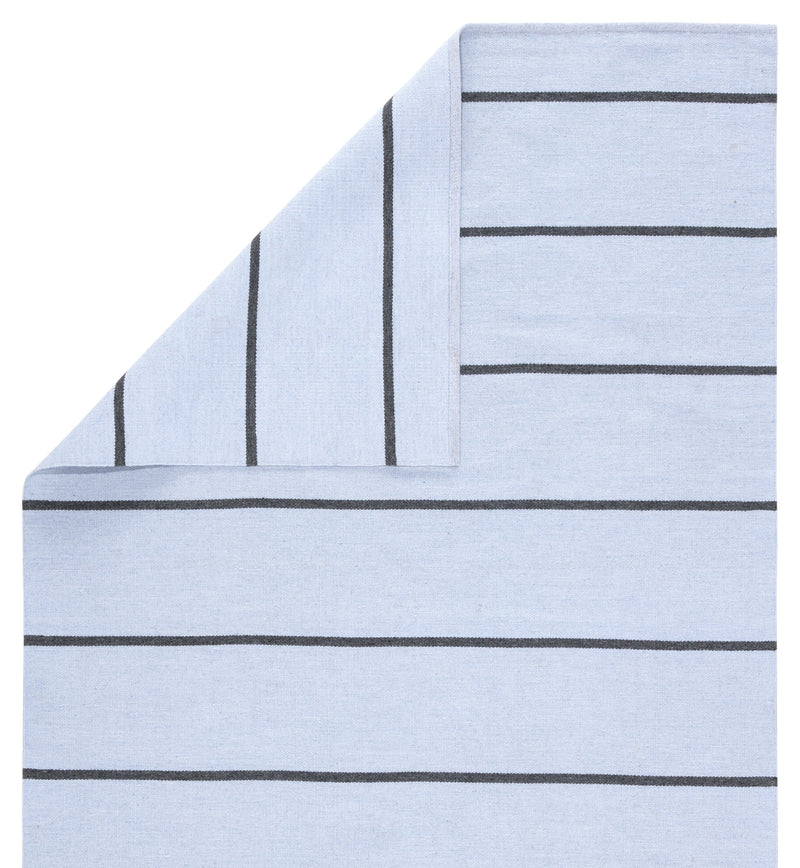 Corbina Indoor/ Outdoor Stripe Light Blue & Gray Area Rug