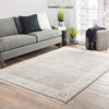 Reagan Border Rug in Pelican & Frost Gray design by Jaipur