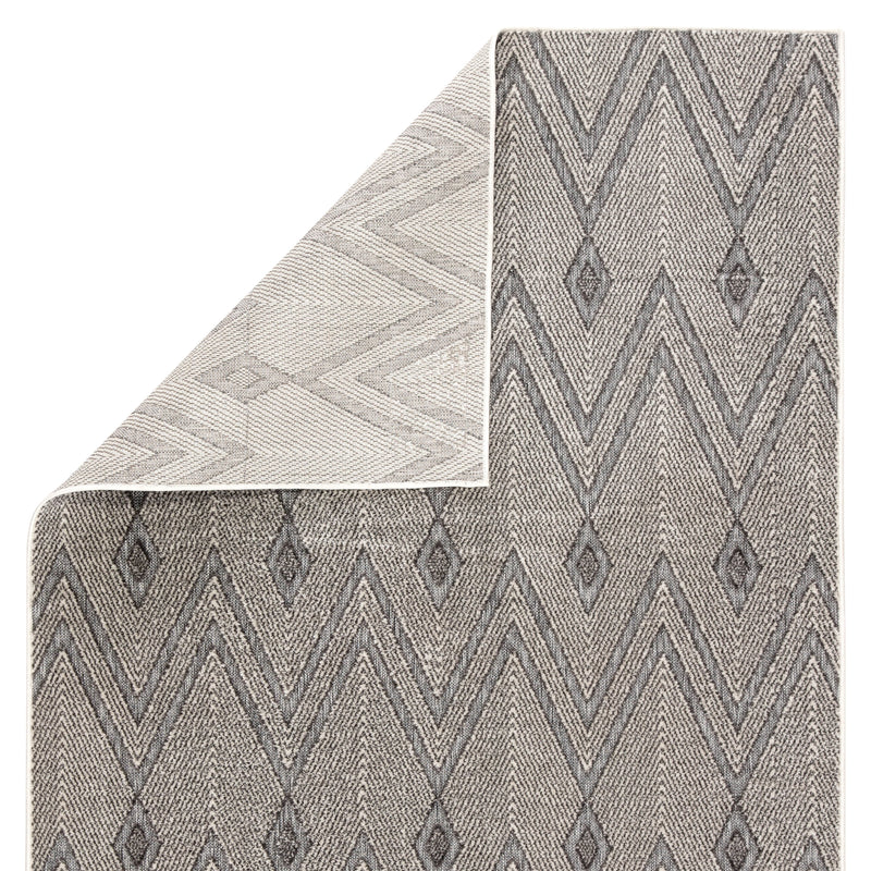 Luz Indoor/ Outdoor Chevron Gray Area Rug