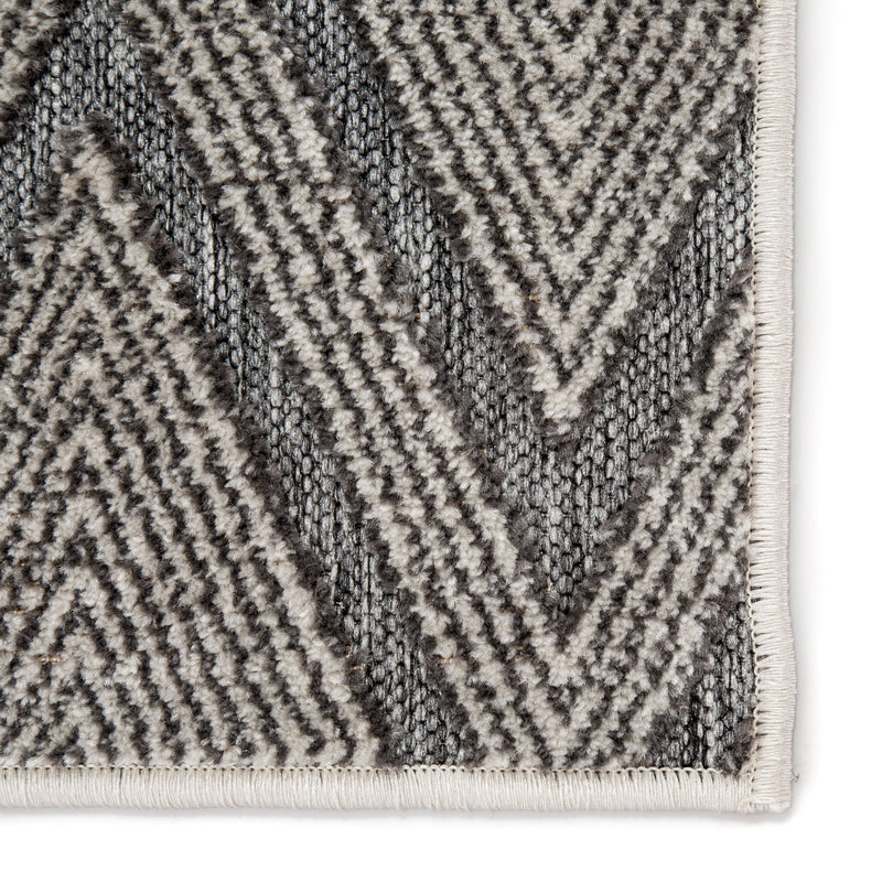 Luz Indoor/ Outdoor Chevron Gray Area Rug