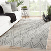 Luz Indoor/ Outdoor Chevron Gray Area Rug