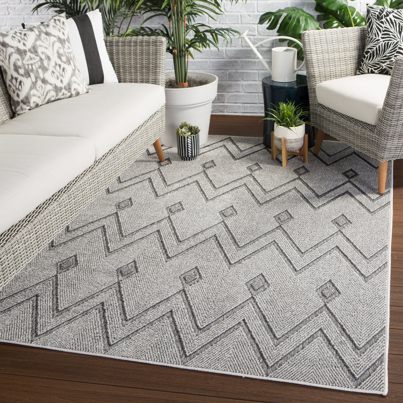 Luz Indoor/ Outdoor Chevron Gray Area Rug