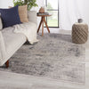 Aster Oriental Rug in Gray & White