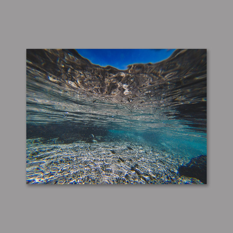 Aquatic Photo Print