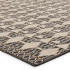 Mahaba Maji Indoor/Outdoor Black & Beige Rug 2