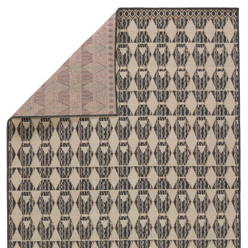 Mahaba Maji Indoor/Outdoor Black & Beige Rug 3