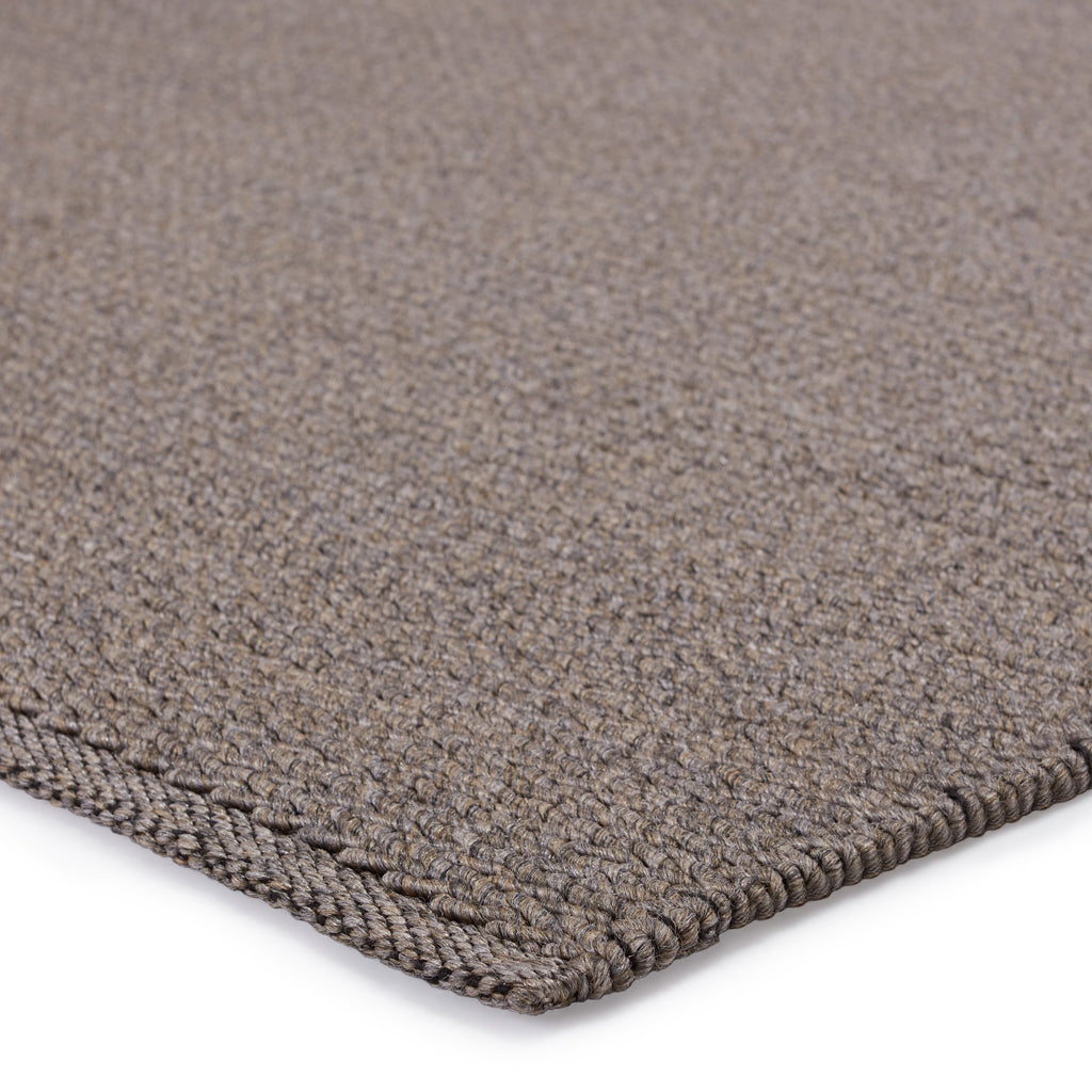 Ryker Indoor/Outdoor Solid Brown & Grey Rug