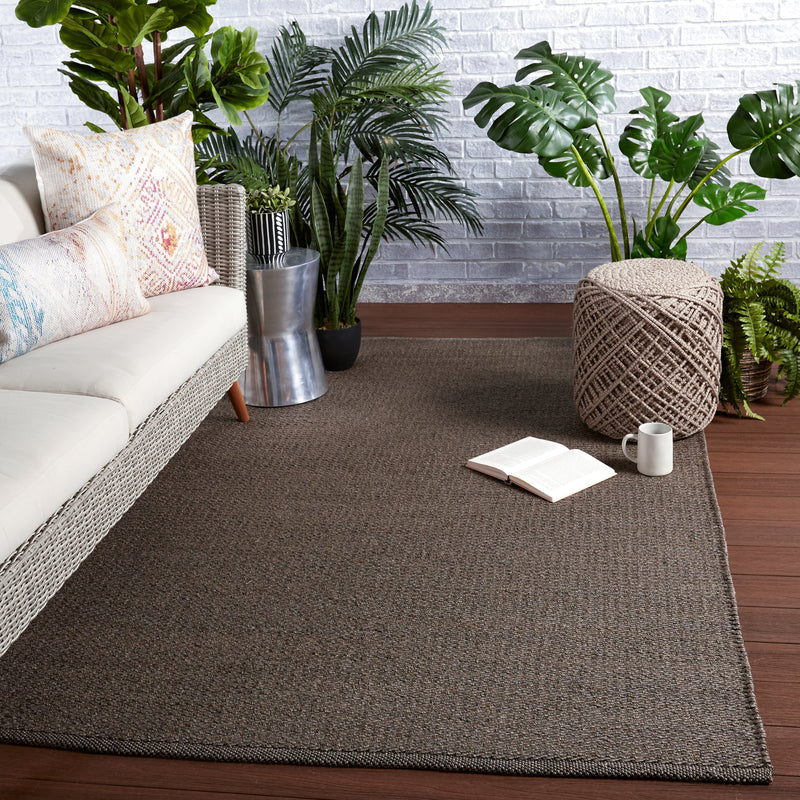 Ryker Indoor/Outdoor Solid Brown & Grey Rug