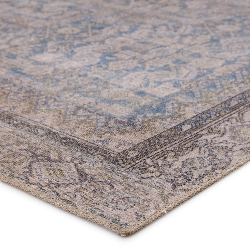 Royse Oriental Blue & Gray Area Rug