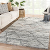 Kenzi Hand-Knotted Trellis Gray & Brown Area Rug