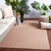 Dumont Indoor/Outdoor Solid Light Tan Rug