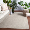 Dumont Indoor/Outdoor Solid Light Grey Rug