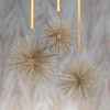 Wire Star Burst Ornament - Champagne in Various Sizes