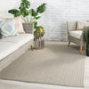 Iver Indoor/Outdoor Solid Light Gray Rug