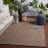 Kawela Indoor/Outdoor Solid Brown Rug