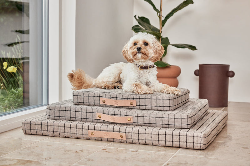 Milo Grid Dog Cushion