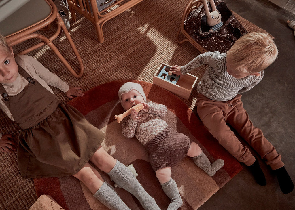 Rainbow Rug in Choko