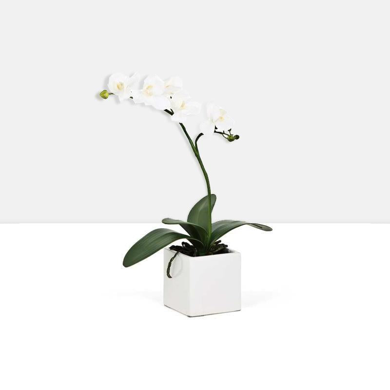 Orchid Potted Faux Single Stem 16" - White