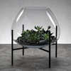 Bali Terrarium Blown Glass on Stand