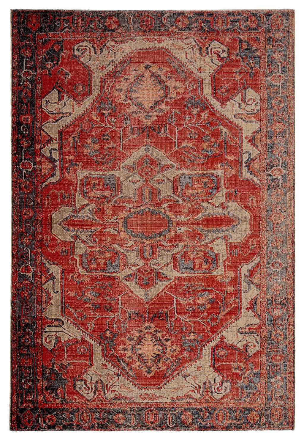 Leighton Indoor/ Outdoor Medallion Red & Blue Area Rug