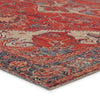 Leighton Indoor/ Outdoor Medallion Red & Blue Area Rug