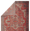 Leighton Indoor/ Outdoor Medallion Red & Blue Area Rug