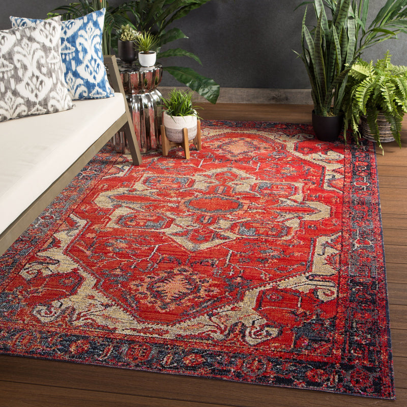 Leighton Indoor/ Outdoor Medallion Red & Blue Area Rug