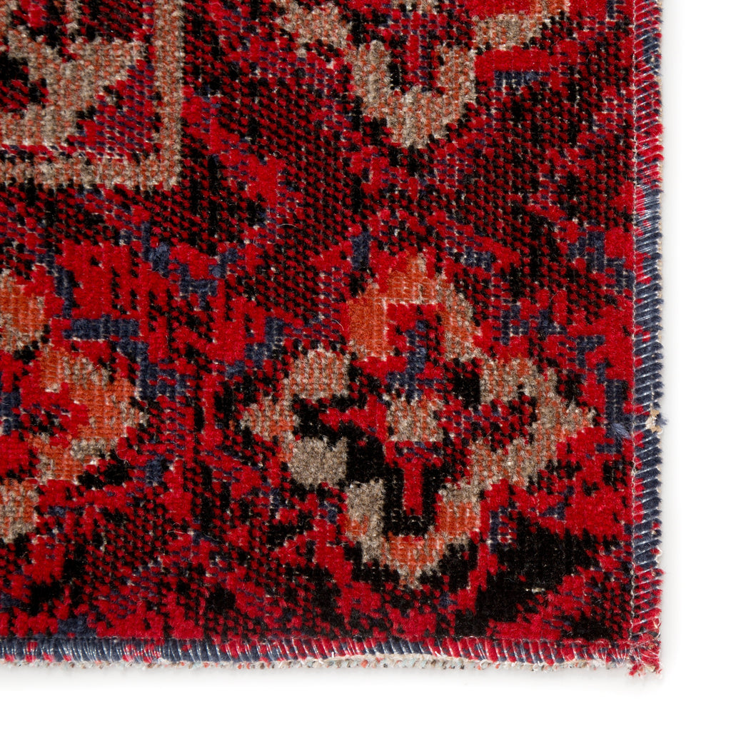 Chaya Indoor/ Outdoor Medallion Red & Black Area Rug