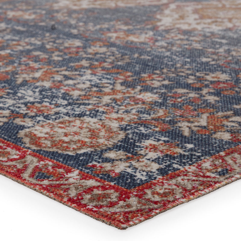 Freemond Indoor/Outdoor Medallion Blue & Red Rug