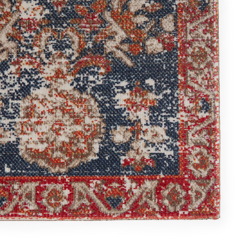 Freemond Indoor/Outdoor Medallion Blue & Red Rug