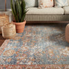 Freemond Indoor/Outdoor Medallion Blue & Red Rug