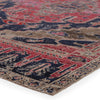 Cicero Indoor/Outdoor Medallion Rug in Pink & Blue